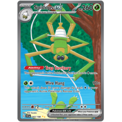 Spidops ex (SVI 242)