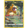 Bidoof (CRZ GG29)