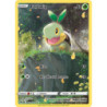 Turtwig (CRZ GG31)