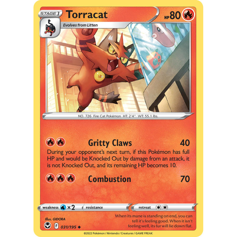 Torracat (SIT 031)