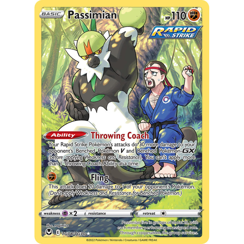 Passimian (SIT TG08)