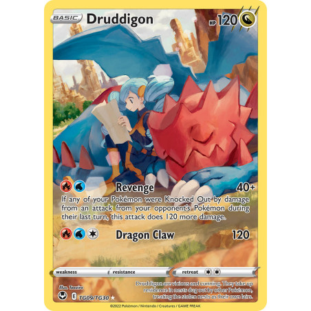 Druddigon (SIT TG09)