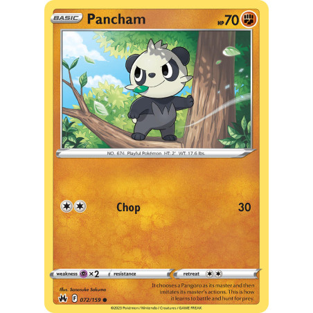 Pancham (CRZ 072)