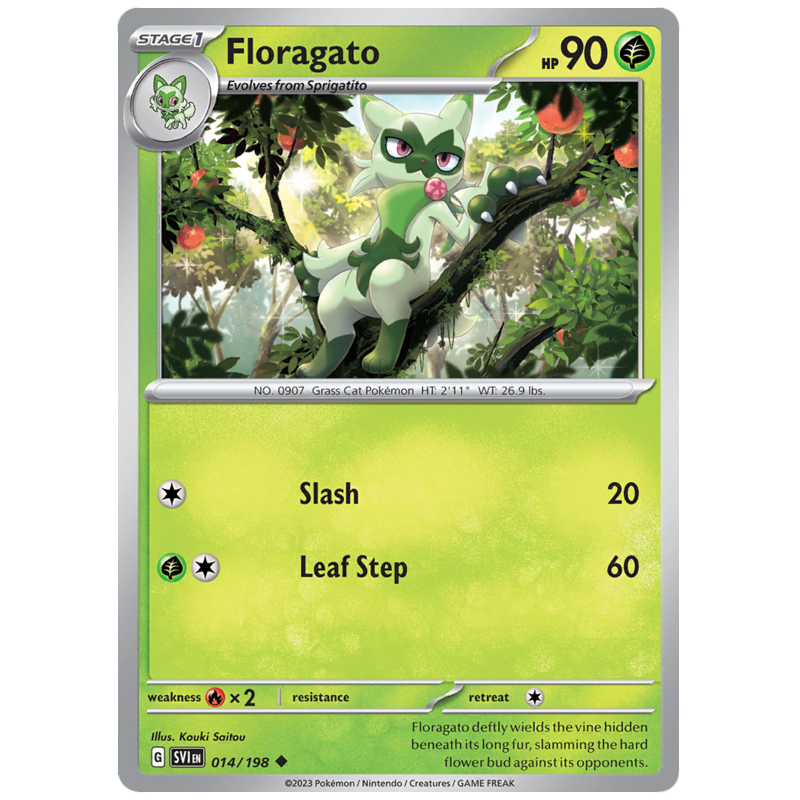 Floragato (SVI 014)
