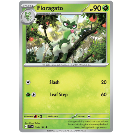 Floragato (SVI 014)